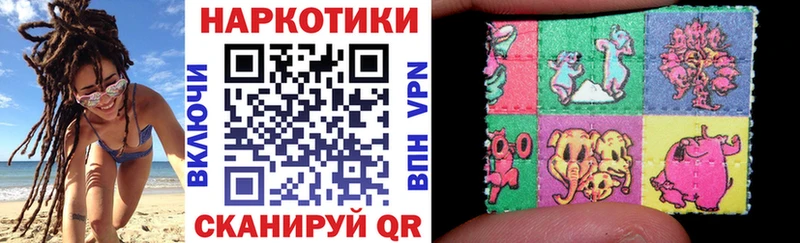 МЕФ Княгинино