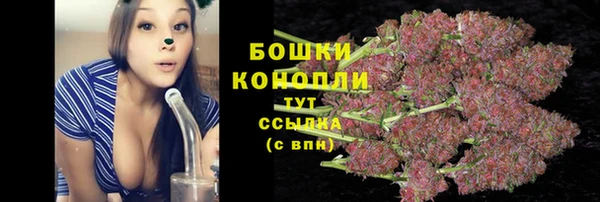 МДПВ Володарск