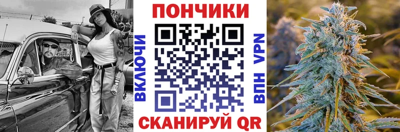 Каннабис планчик  Купить  Княгинино 